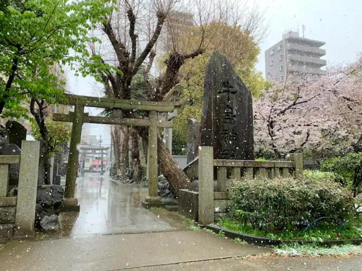Apartment Kiko House - Vacation Stay 42460V Tokyo
